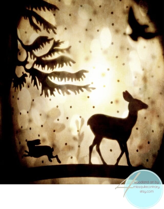 4missquitecontrary-4928885