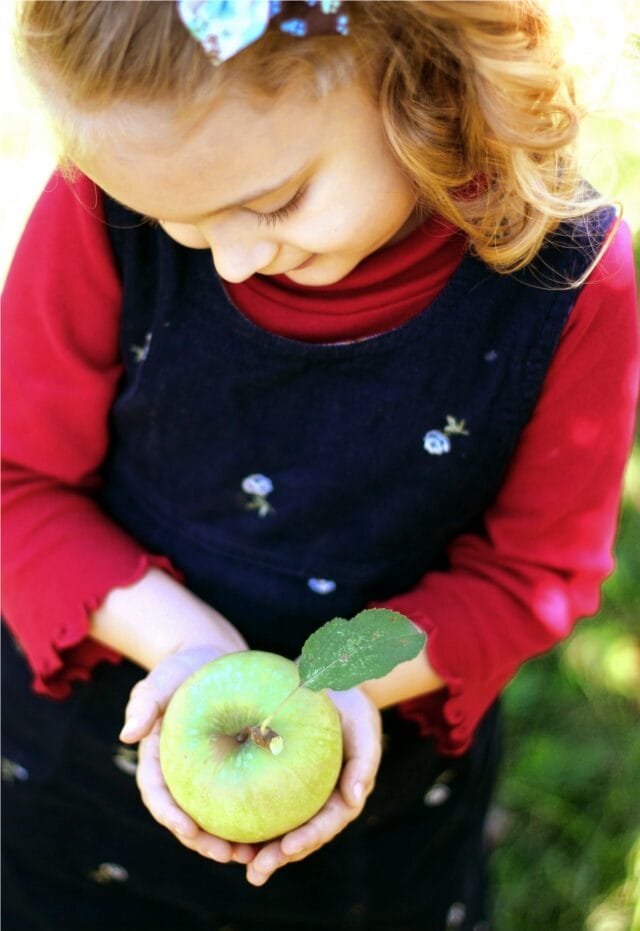 un-recipe-apple-pie-3381100