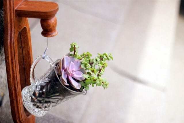 creamer-planter-2190096