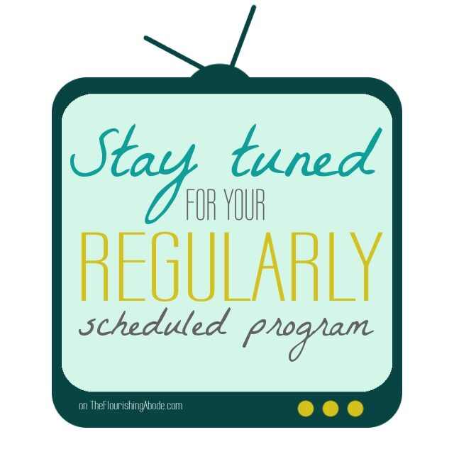 stay-tuned-for-your-regularly-scheduled-program-7900231