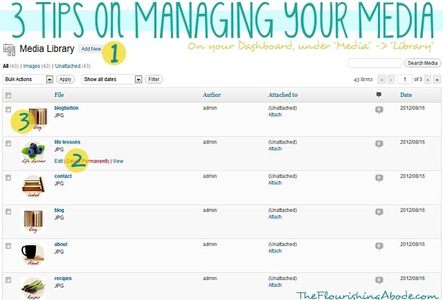 3-tips-on-managing-your-media-in-wordpress-9269748