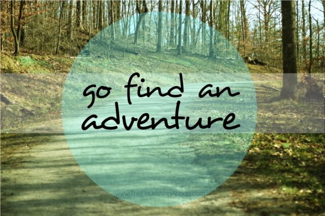 d-go-find-an-adventure-4613822