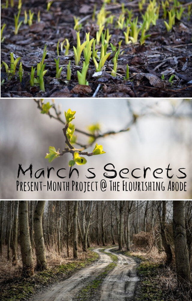 march-secrets-present-month-project-640x1000-6798062
