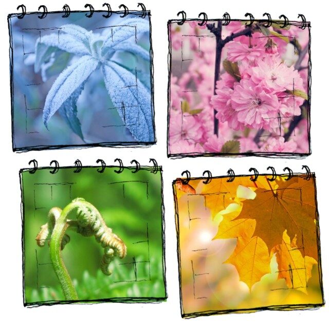 seasons-the-present-month-project-640x640-9956961