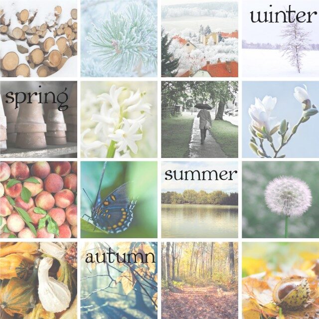 the-present-month-project-the-seasons-640x640-9473724