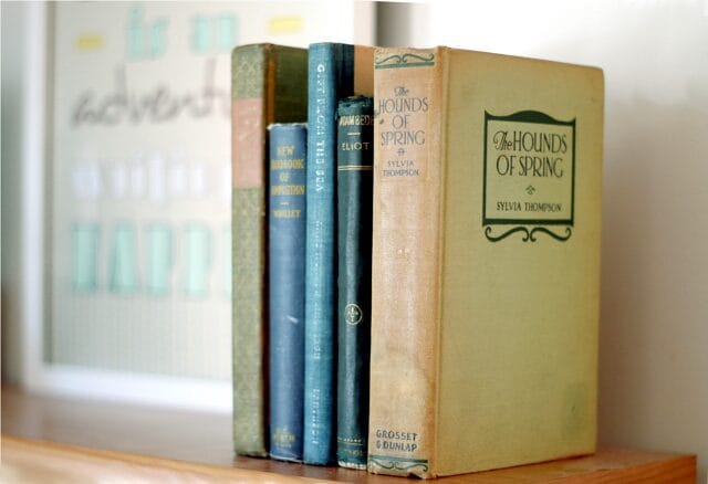 vintage books 11-5755020