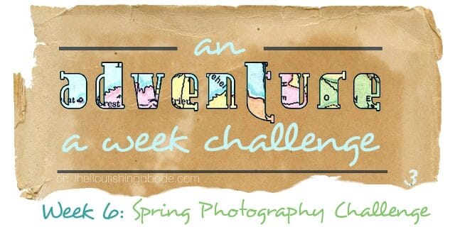 adventureaweek6 adventureaweek6-6176627