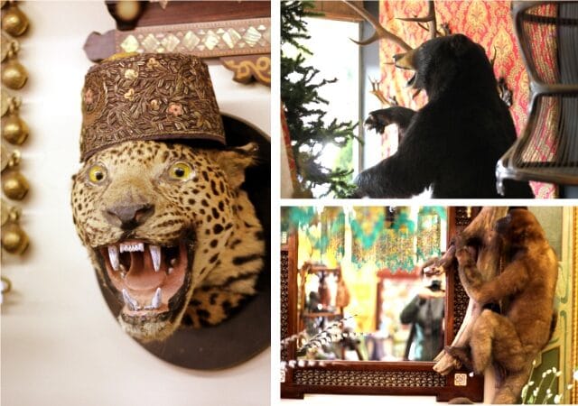 antique1 antique1-1652598