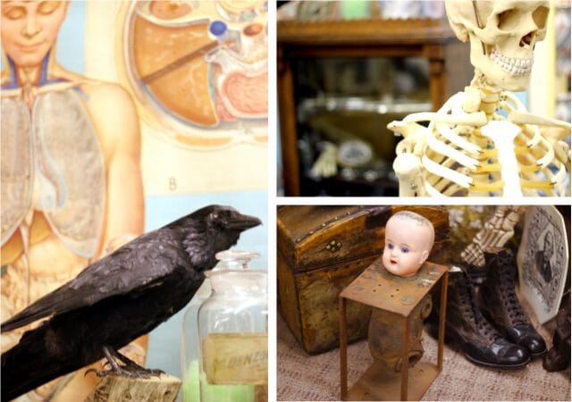 antiques3 antiques3-3990113