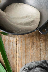 Knead on a lightly floured surface