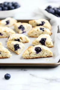 Transfer and Brush tej