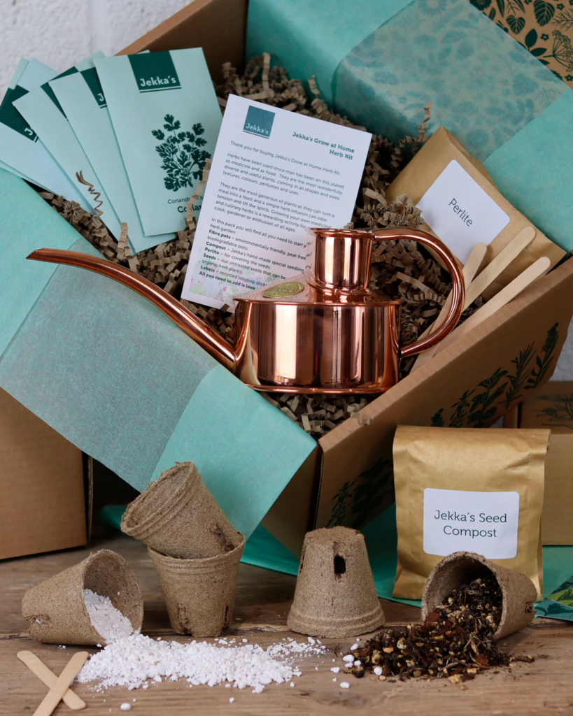 Plant Mom Starter Box